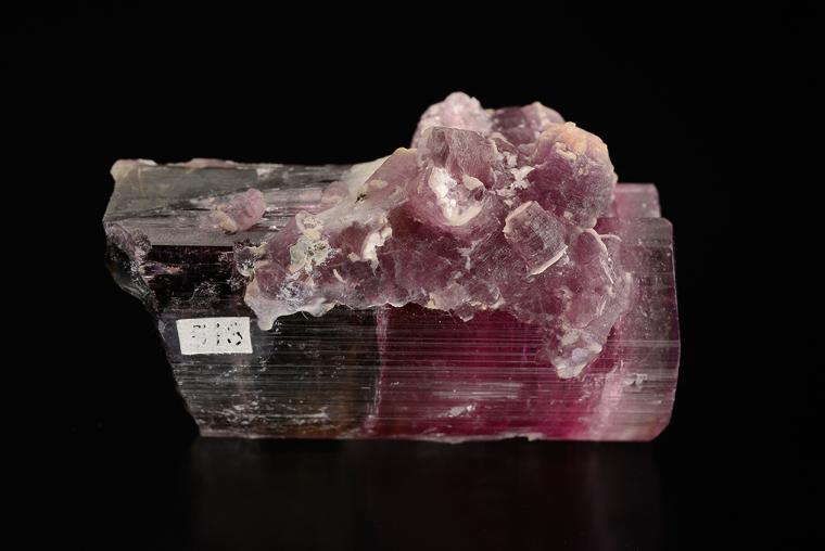ELBAITE with LEPIDOLITE